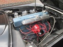 Hexon import image 10